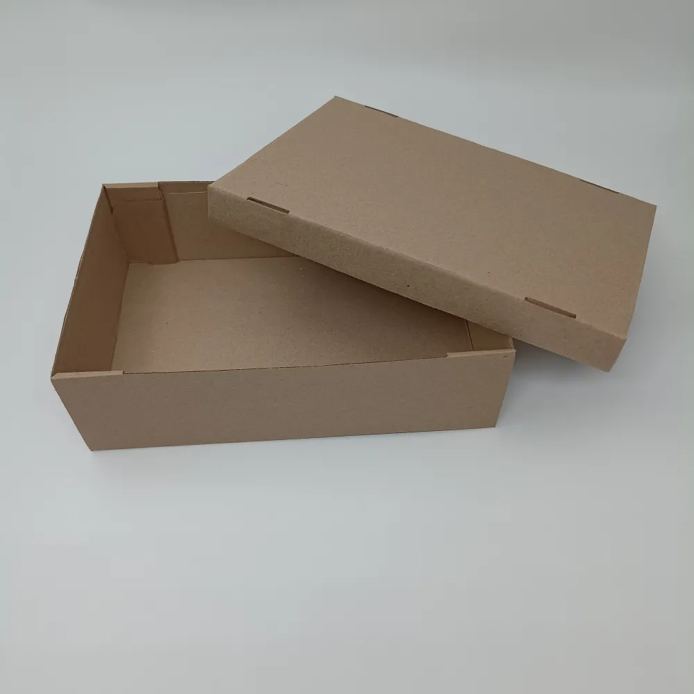 Коробка складная, крышка-дно, бурая, 30 х 20 х 9 см /7861930